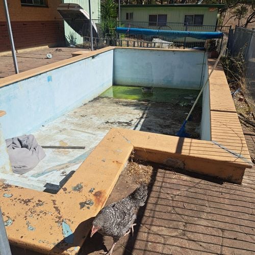 20250129_164730.jpg 20250129_164730.jpg