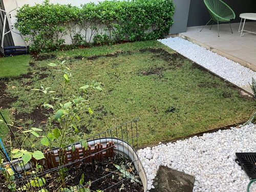 417691738_10161392186355288_1396320241517900947_n.jpg 417691738_10161392186355288_1396320241517900947_n.jpg