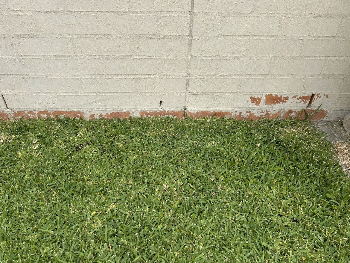 paint3.jpg paint3.jpg