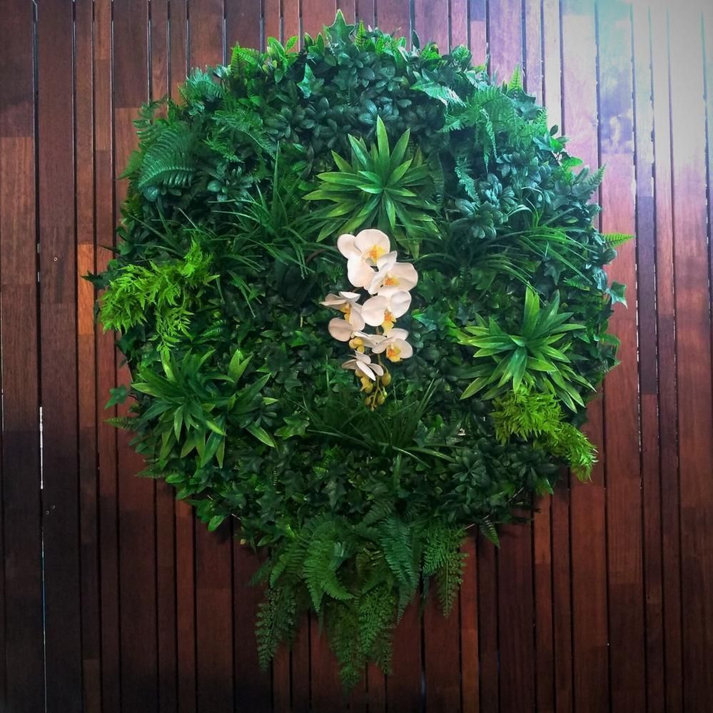 plant wall.jpg plant wall.jpg