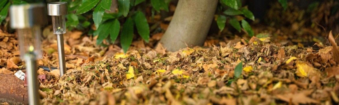 DIY - Header - What to do with Autumn leaves and leaf litter.jpg DIY - Header - What to do with Autumn leaves and leaf litter.jpg