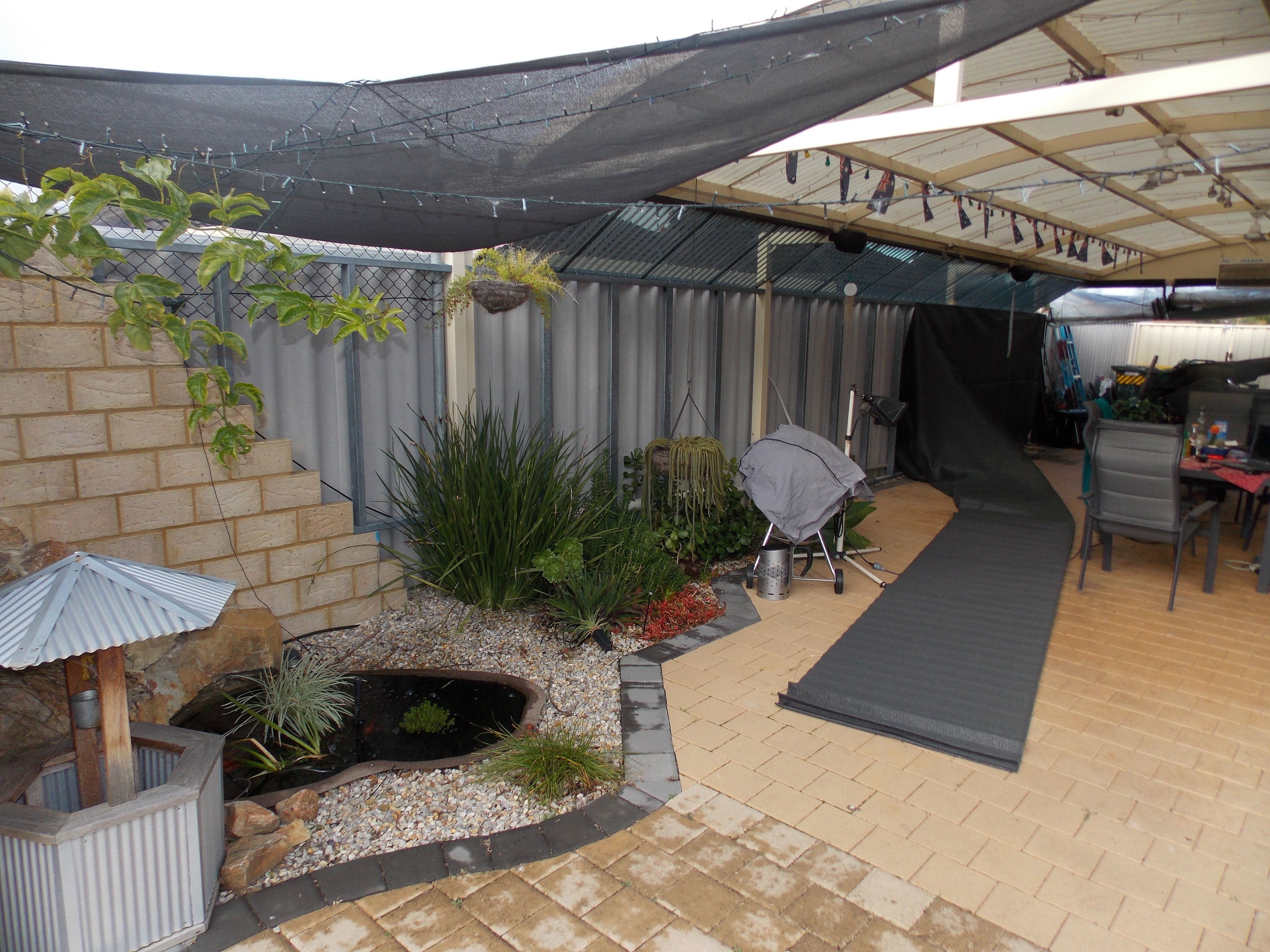 DSCN0376.jpg DSCN0376.jpg