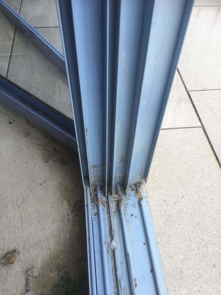 IMG_4405.JPG IMG_4405.JPG