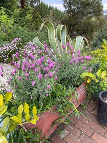 F1B0E2ED-DB88-4451-B358-8B0D59B4C846.jpeg F1B0E2ED-DB88-4451-B358-8B0D59B4C846.jpeg