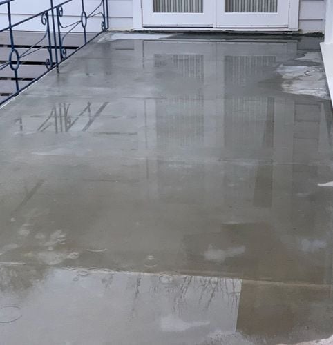 IMG_6586.jpeg IMG_6586.jpeg