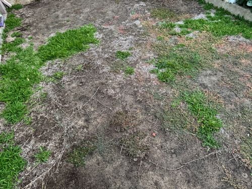 IMG_7657.jpeg IMG_7657.jpeg