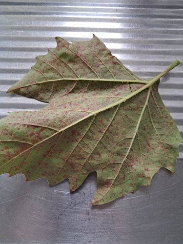 1000019107.jpg 1000019107.jpg