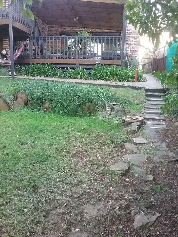 20180708_164035.jpg 20180708_164035.jpg