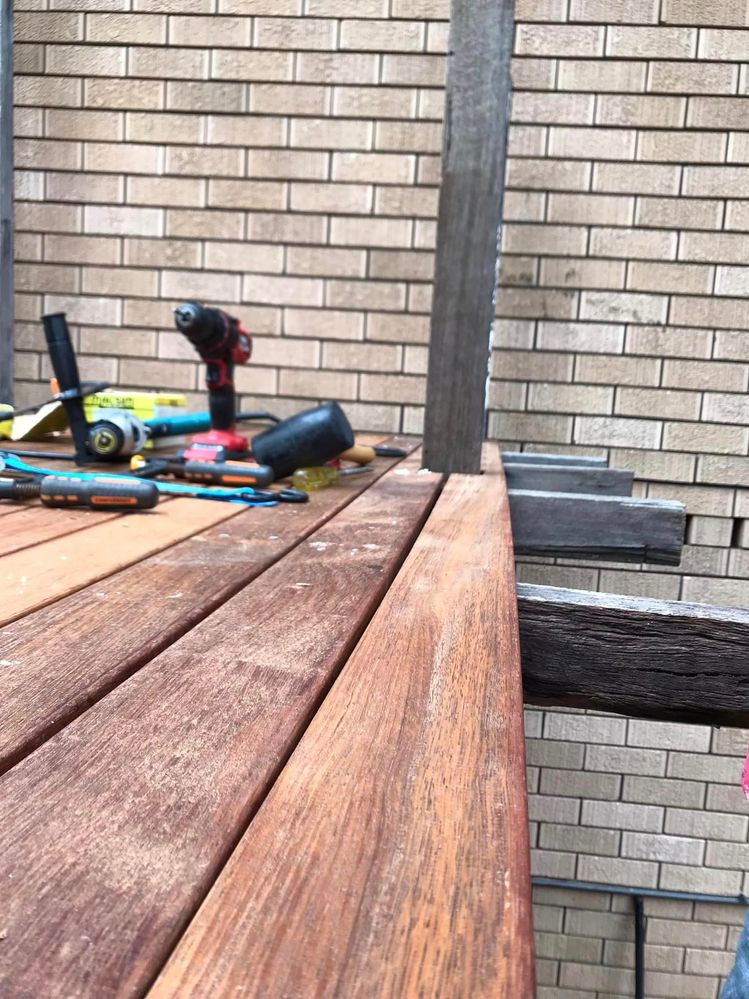 40 24-04-2023.jpg 40 24-04-2023.jpg