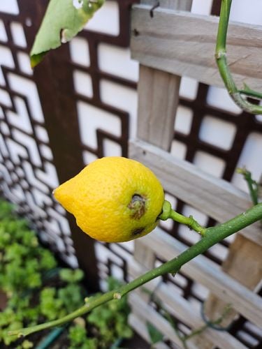 1000047983.jpg 1000047983.jpg