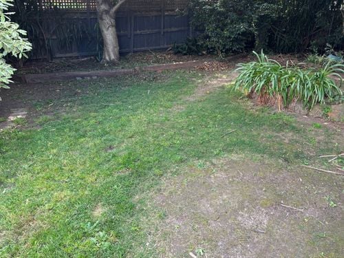 IMG_0532.jpeg IMG_0532.jpeg