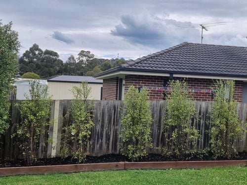 20231125_145103.jpg 20231125_145103.jpg