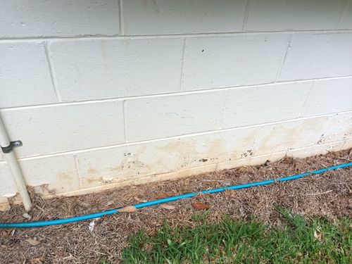 IMG_20240326_101942.jpg IMG_20240326_101942.jpg