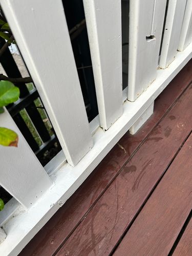 IMG_6517.jpeg IMG_6517.jpeg