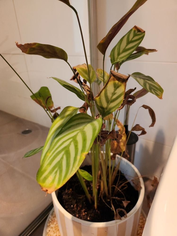 20240315_145502.jpg 20240315_145502.jpg