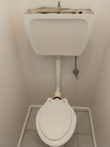 1000003804.jpg 1000003804.jpg