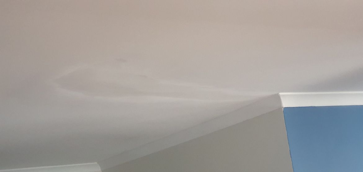 20250408_100830.jpg 20250408_100830.jpg