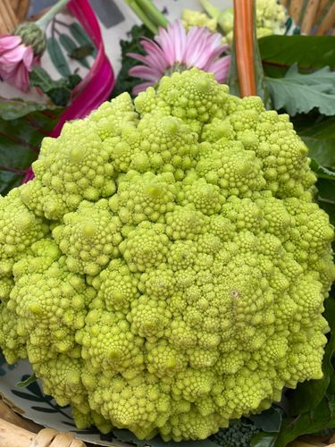 19ED808C-DE3F-4D25-8D6C-518ED019545D.jpeg 19ED808C-DE3F-4D25-8D6C-518ED019545D.jpeg