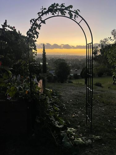 B6C3D191-611C-49D8-98F2-644543CFA859.jpeg B6C3D191-611C-49D8-98F2-644543CFA859.jpeg