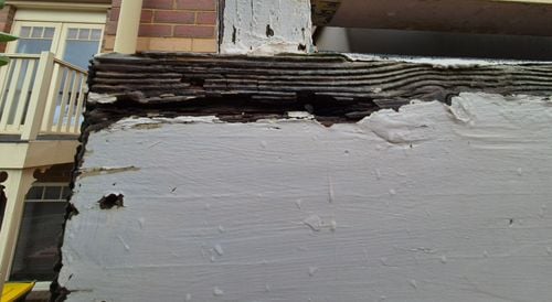 1000061957.jpg 1000061957.jpg