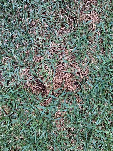 NateZheng_2-1695041712229.jpeg NateZheng_2-1695041712229.jpeg