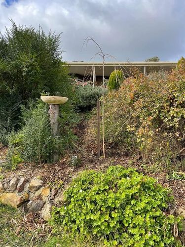 F479BE90-6F87-4C88-B201-776C6AD12B78.jpeg F479BE90-6F87-4C88-B201-776C6AD12B78.jpeg