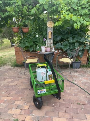 1F692C71-2F29-43A1-9C9D-1C5815788997.jpeg 1F692C71-2F29-43A1-9C9D-1C5815788997.jpeg