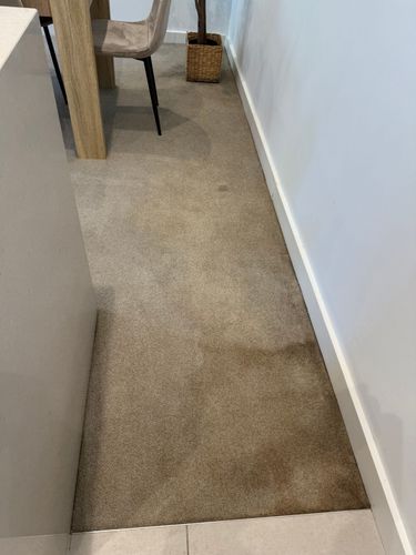 IMG_9099.jpeg IMG_9099.jpeg