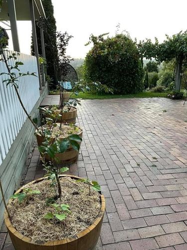 24A38050-51D8-4EB1-A407-C514F1335D8F.jpeg 24A38050-51D8-4EB1-A407-C514F1335D8F.jpeg