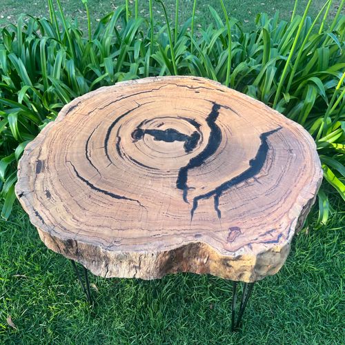 IMG_4488.jpeg IMG_4488.jpeg