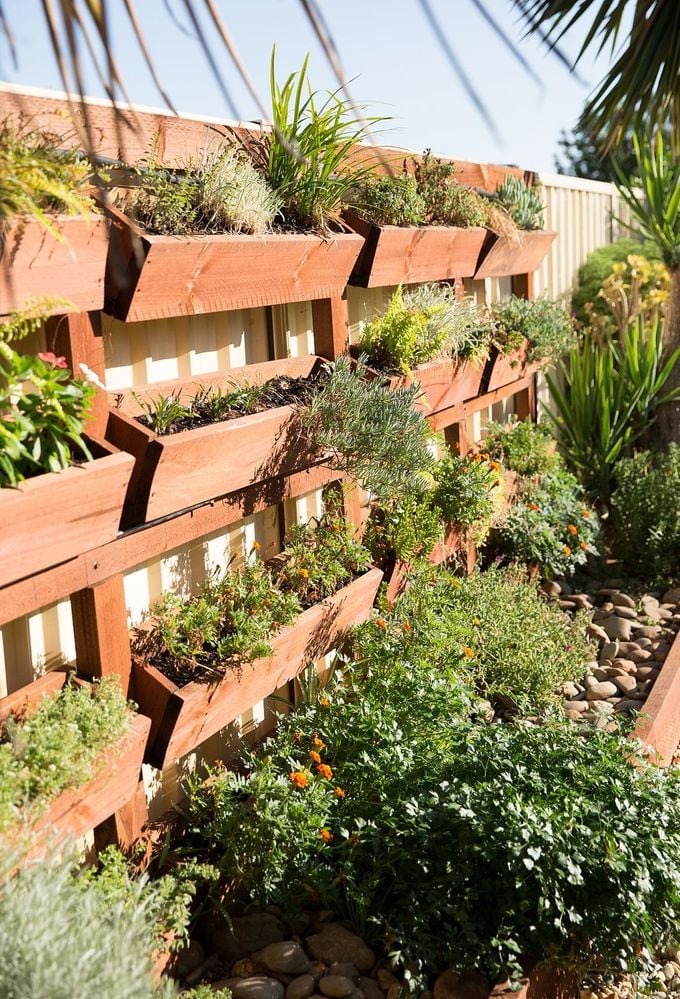 Garden3.jpg Garden3.jpg