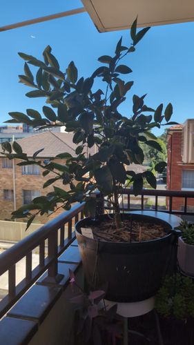 1000022966.jpg 1000022966.jpg