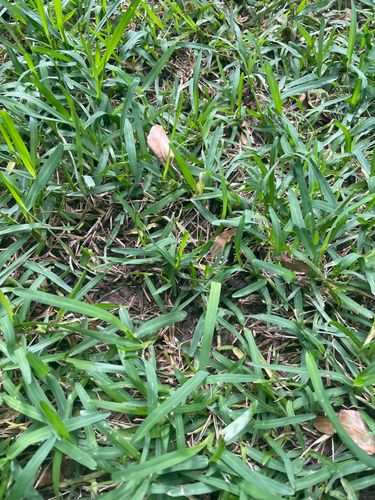 IMG_7937.jpeg IMG_7937.jpeg