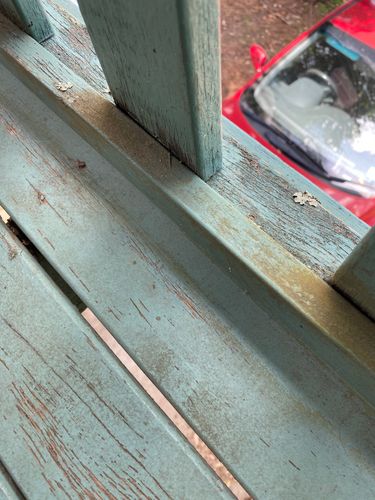 IMG_9698.jpeg IMG_9698.jpeg