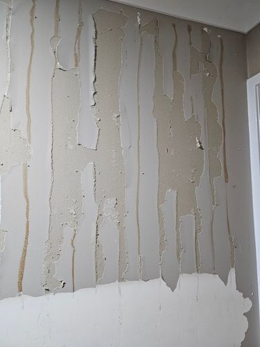 1000003834.jpg 1000003834.jpg