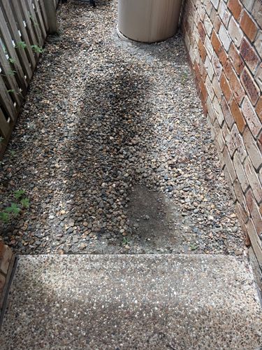 IMG_0773.jpeg IMG_0773.jpeg