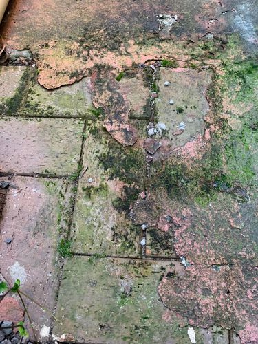 09B7338F-6572-4BA2-AD77-65C38D3E986B.jpeg 09B7338F-6572-4BA2-AD77-65C38D3E986B.jpeg