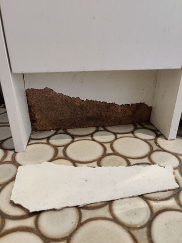 1000004511.jpg 1000004511.jpg