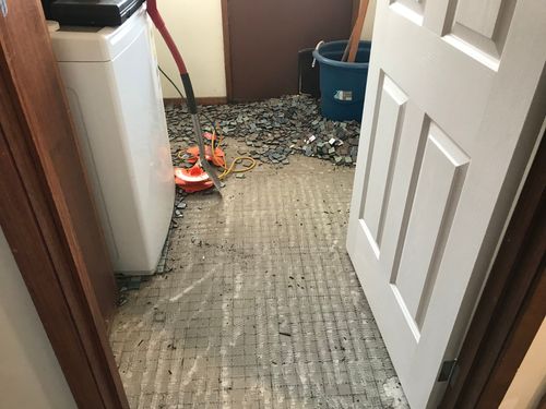 6E1543F1-5EEE-4EB1-88FB-3B9AC5E8ADA9.jpeg 6E1543F1-5EEE-4EB1-88FB-3B9AC5E8ADA9.jpeg