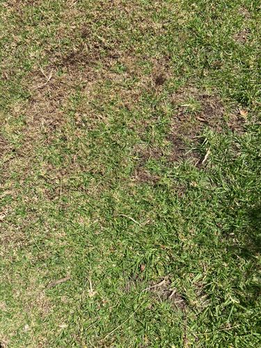 IMG_9275.jpeg IMG_9275.jpeg