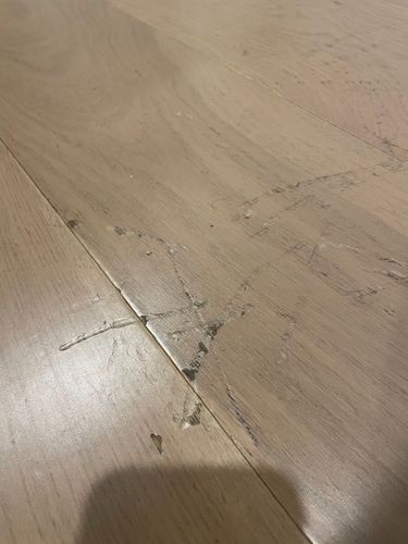 IMG_2019.jpeg IMG_2019.jpeg