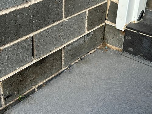 IMG_4680.jpeg IMG_4680.jpeg