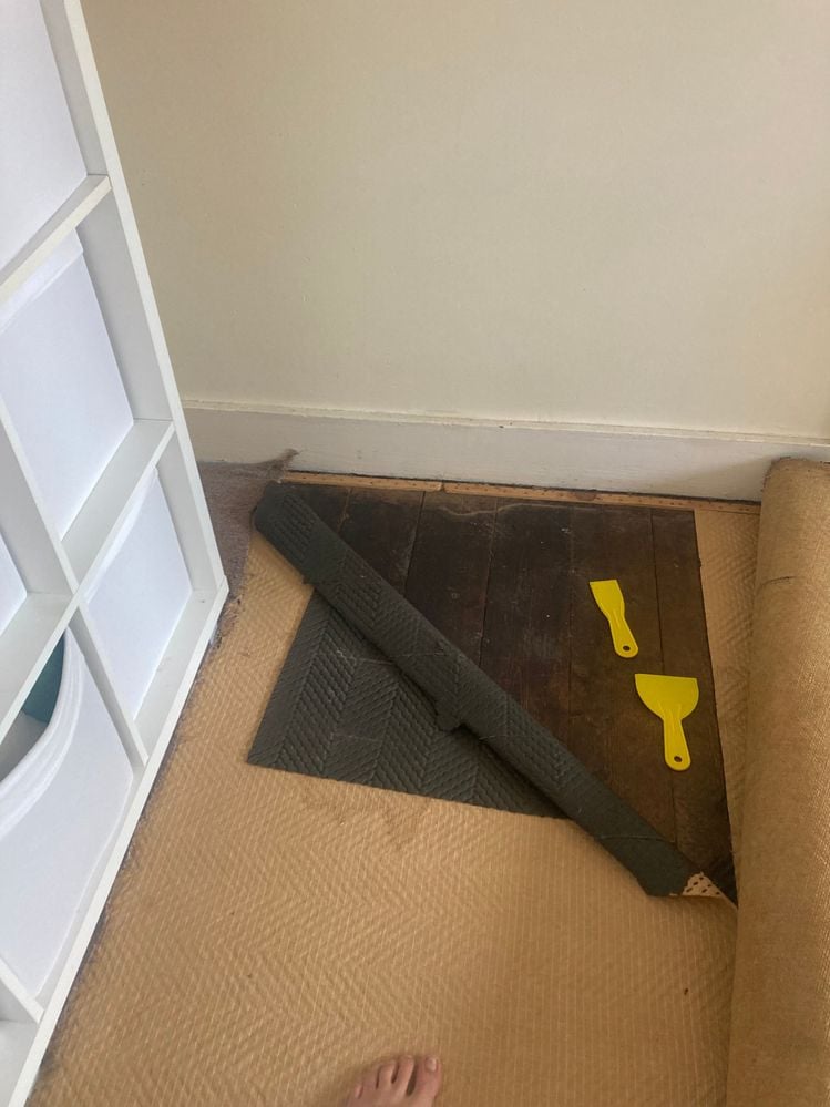 IMG_0136.jpg IMG_0136.jpg