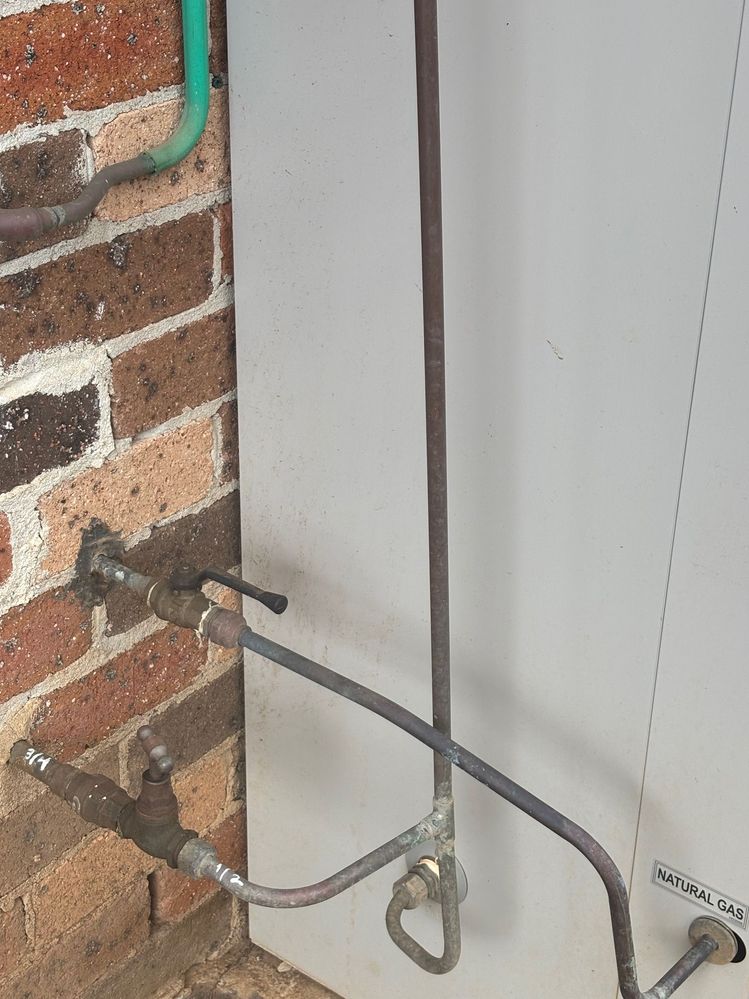 IMG_5891.jpg IMG_5891.jpg