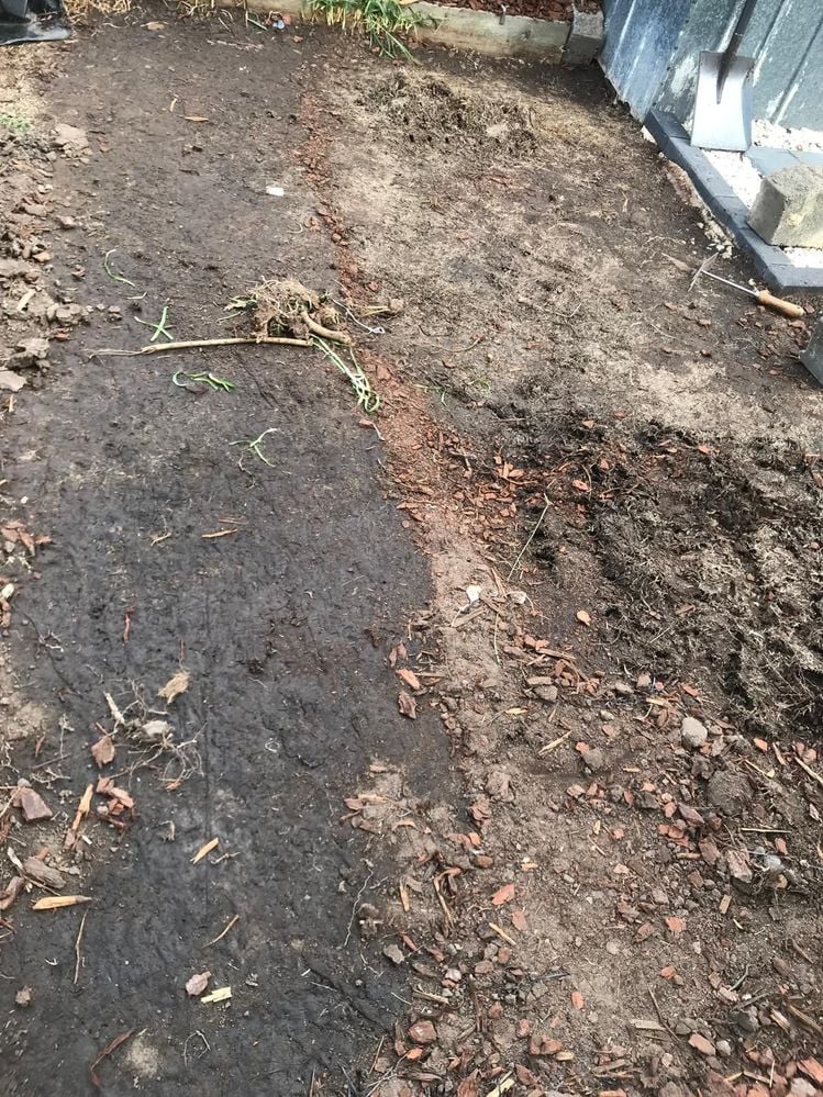 WhatsApp Image 2024-09-11 at 13.18.19_07359f46.jpg WhatsApp Image 2024-09-11 at 13.18.19_07359f46.jpg