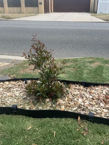 IMG_3589.jpeg IMG_3589.jpeg