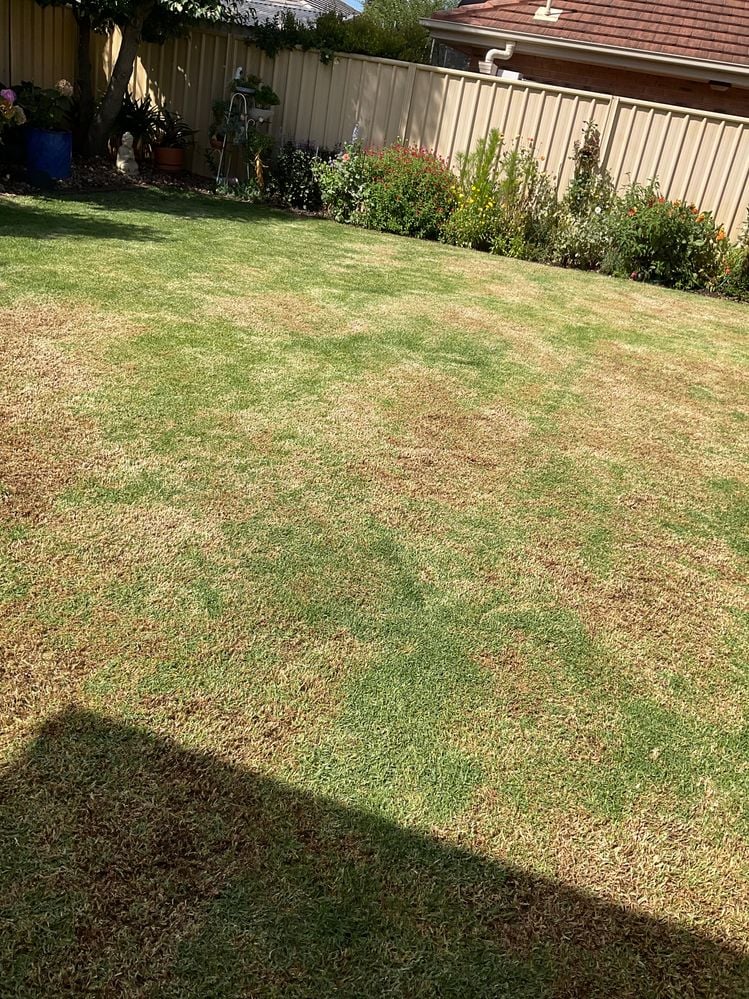 26853557-1486-4ED5-86A4-77495A50C9F2.jpeg 26853557-1486-4ED5-86A4-77495A50C9F2.jpeg