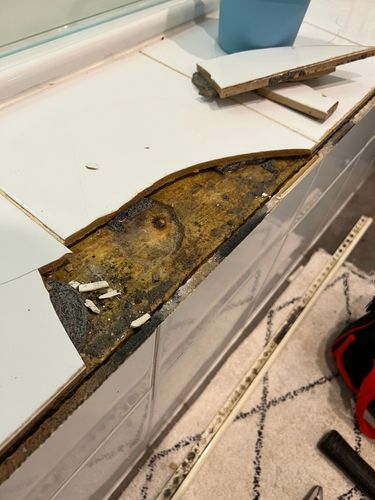 0DD6D7A2-7C83-4455-96BF-E4A103A9CC18.jpeg 0DD6D7A2-7C83-4455-96BF-E4A103A9CC18.jpeg