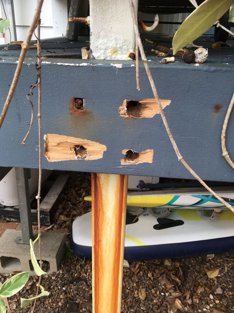 IMG_3130.JPG IMG_3130.JPG