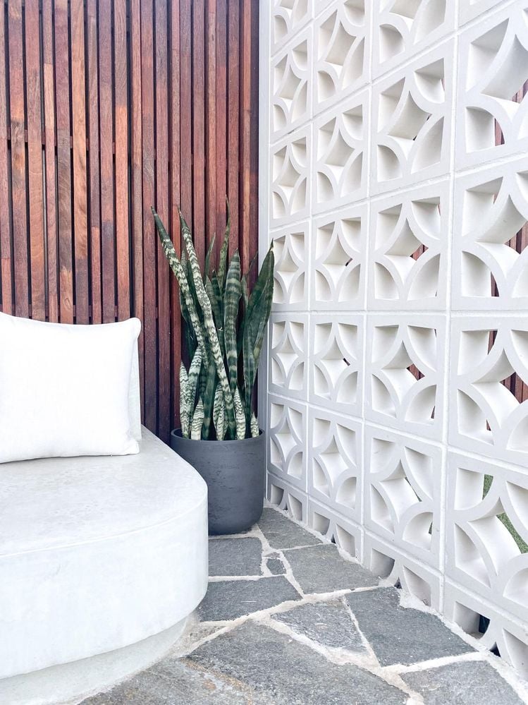 IMG-20210119-WA0018.jpg IMG-20210119-WA0018.jpg